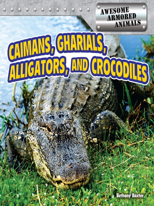 Title details for Caimans, Gharials, Alligators, and Crocodiles by Bethany Baxter - Available
